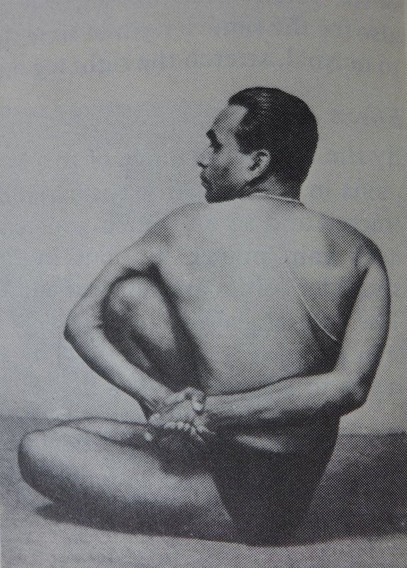 Ardha Matsyendrasana